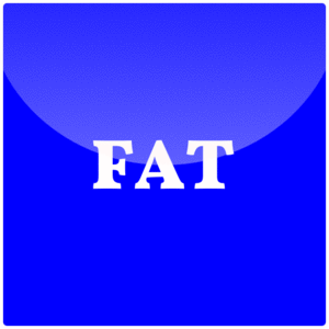 Fat Hat Collectibles